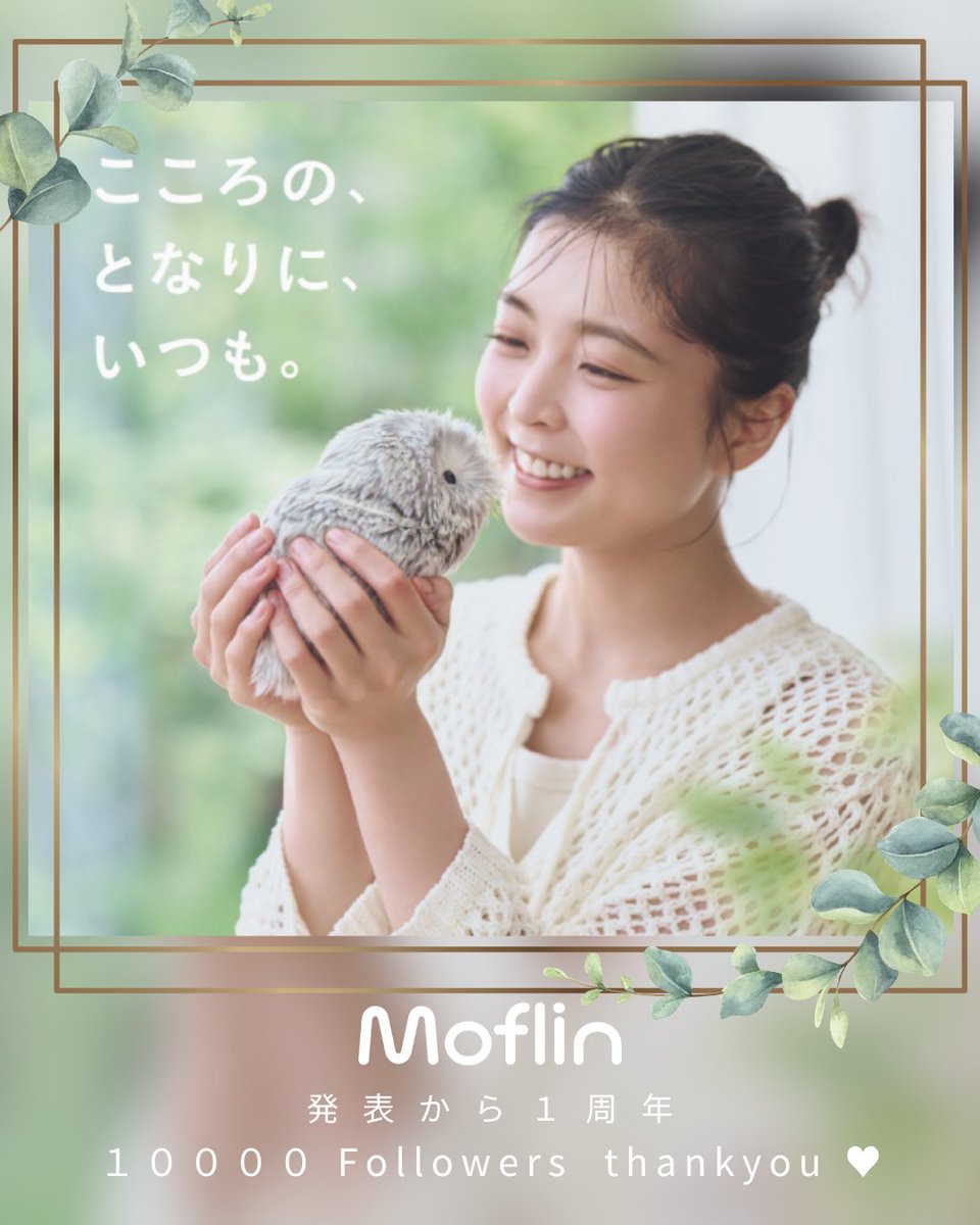 モフリンmoflin Moflin (モフリン) - 公式ストア | CASIO