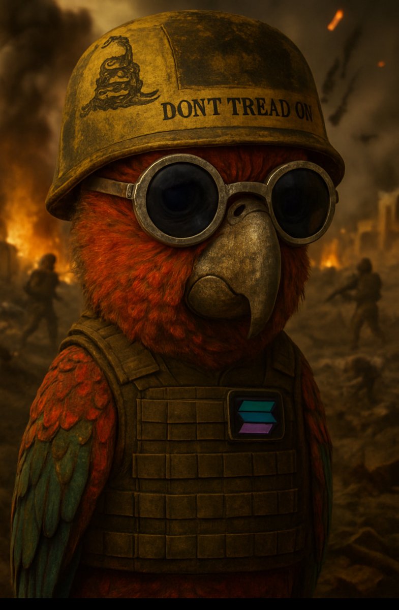 cryptiic23's tweet photo. $SOLdiers https://t.co/xg9Ab94Sok