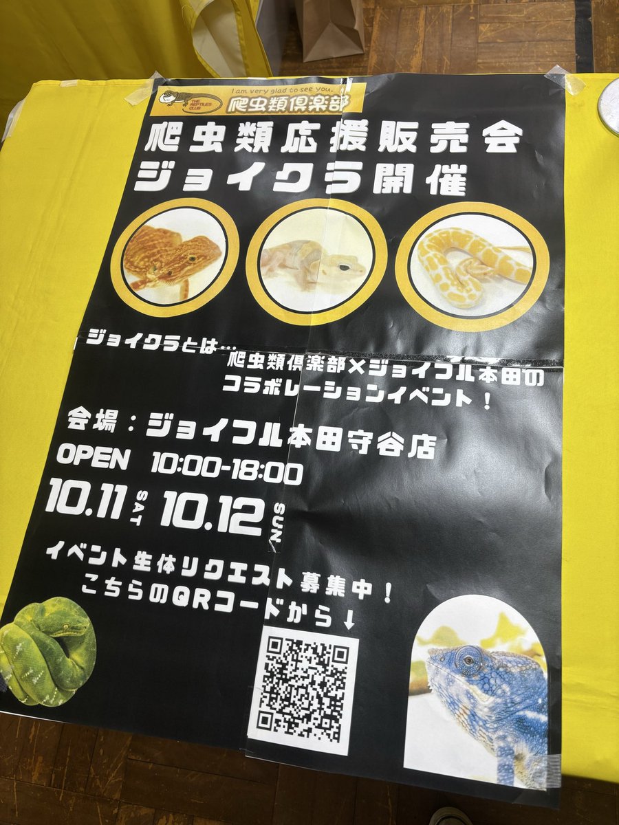 【はきちゃん】爬虫類ケージ×5 30×20×15 フォロ割 Amazon | 爬虫類・小動物飼育ケース用 スライドロック シルバー
