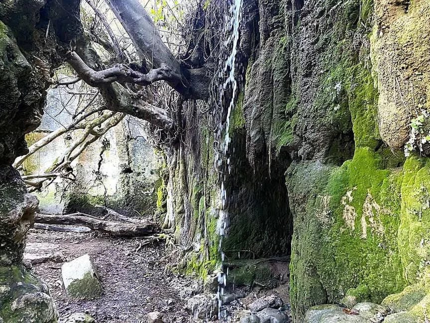 Una corta y preciosa ruta en la Sierra de Grazalema te lleva al Molino del Susto, un nombre muy adecuado para este romántico paraje, en donde el agua se precipita entre las ruinas del molino cubierto de higueras. 

<a href="/grazalematuris/">Turismo Grazalema - Benamahoma</a> <a href="/CadizTurismo/">Turismo de la provincia de Cádiz</a> 

milyunarutas.com/arroyo-del-des…