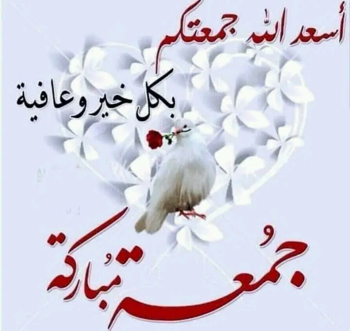 ♕✿𝐻𝑒𝒷𝒶✿♕ tweet media