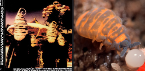 ronpschi babygirl 💋 (@chpupu_u) on Twitter photo 