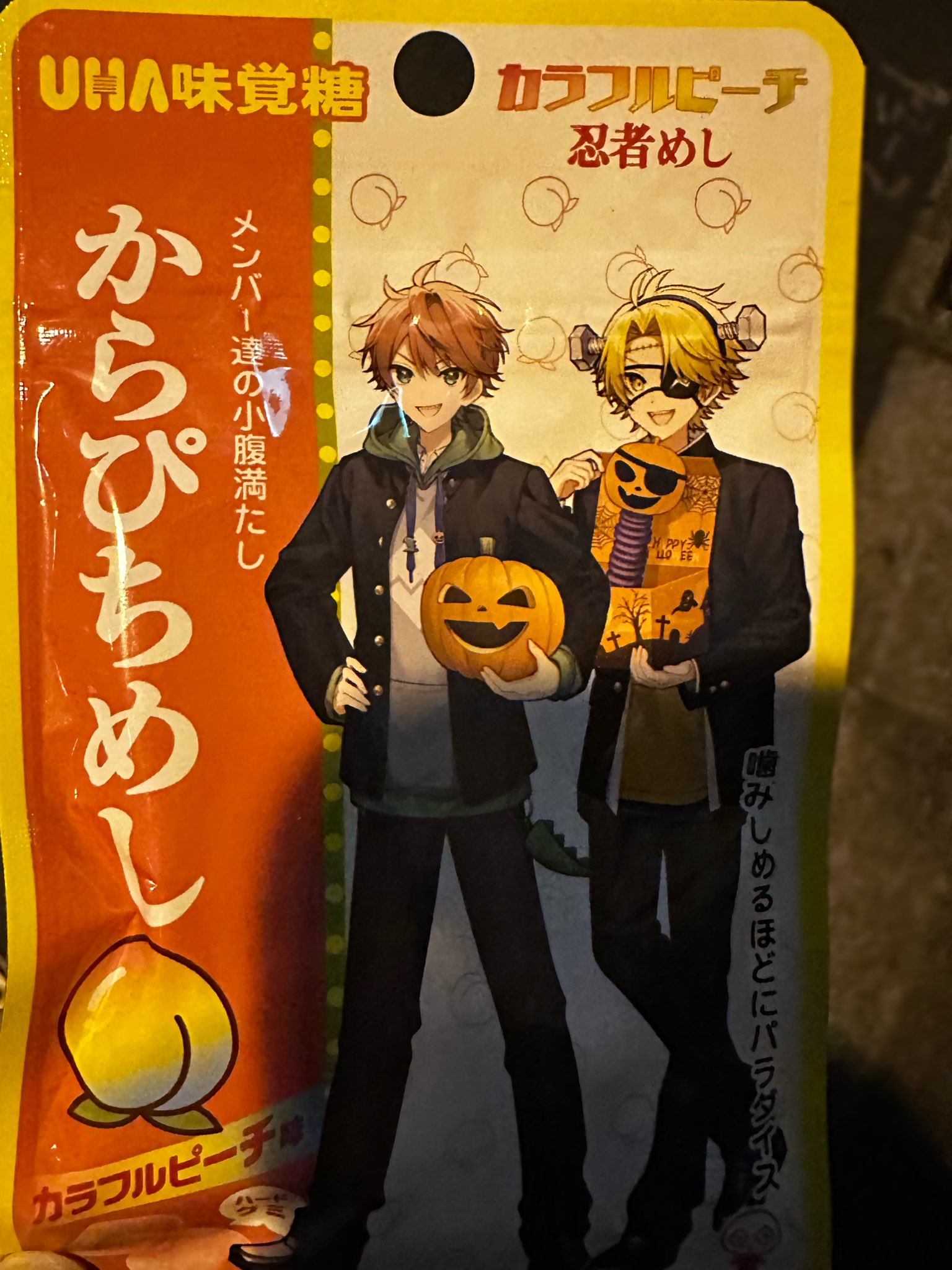 ちり⭐︎ NEW 2013-2023 GENUINE KAWASAKI NINJA ZX-6R FRONT RIGHT LOWER