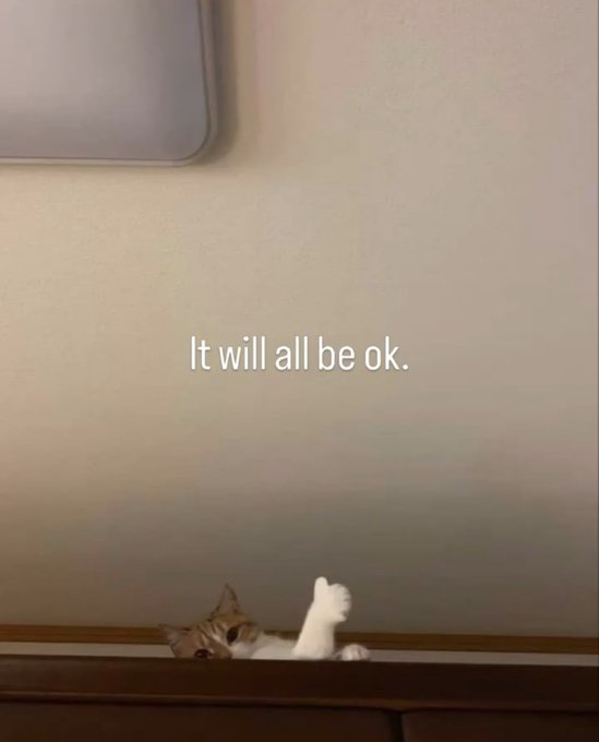 mindfulmaven_'s tweet photo. https://t.co/6oO4LIx2Dl