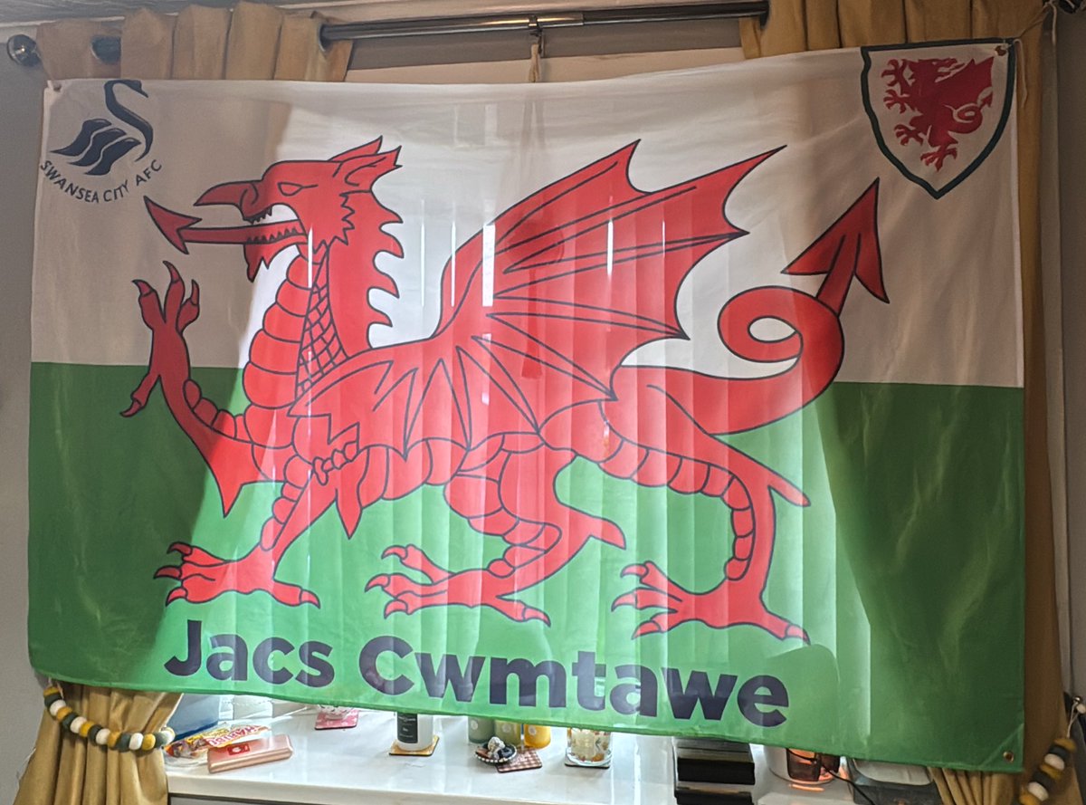 Put a Wales flag up in the Wales end just for some pathetic grown man to steal it because it had a Swansea City badge on it. Shame the small minority still divide the club and country on international duty. If anyone finds it please get in touch. Thank you #WalesAway #walesfans