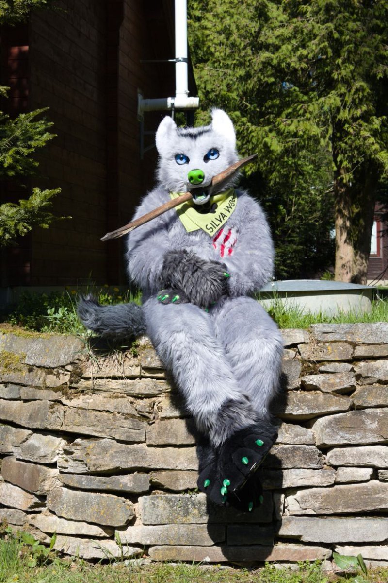 Furvaria tweet media