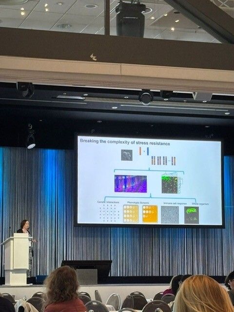 MRCcmm's tweet image. 🧪 #imageoftheweek Cutting-edge science in action at #Candida25 

Talks revealed new disease models, fresh insights into Candida glabrata... ⬇️ 🧵