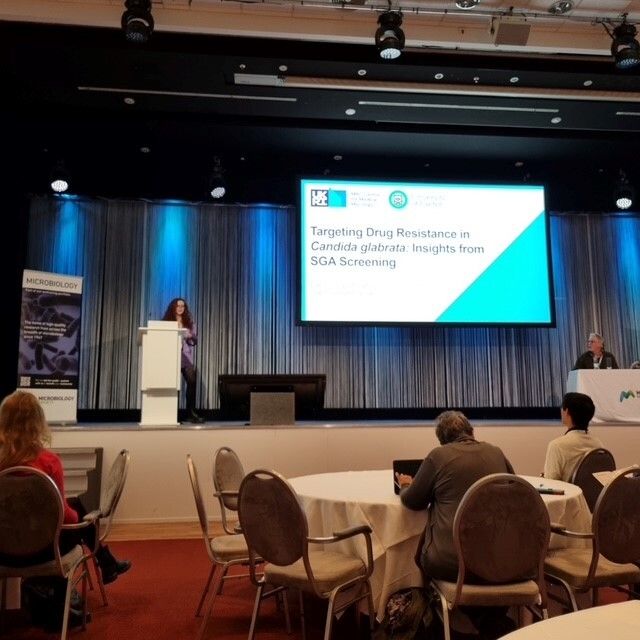 MRCcmm's tweet image. 🧪 #imageoftheweek Cutting-edge science in action at #Candida25 

Talks revealed new disease models, fresh insights into Candida glabrata... ⬇️ 🧵