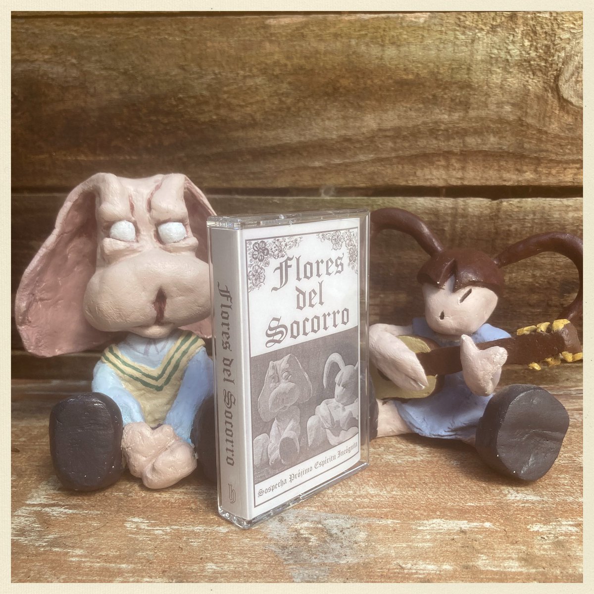 anibal bley tweet media