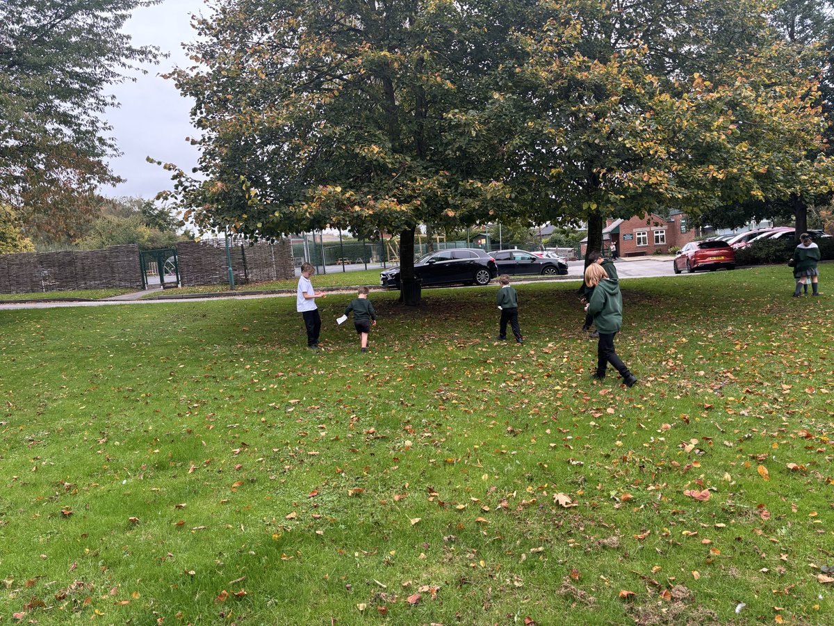 weaverhamschool's tweet image. It was lovely working with our Year 6 buddies to not only collect autumn leaves 🍁 🍂 🍃 but use these to practice our counting and comparing skills…