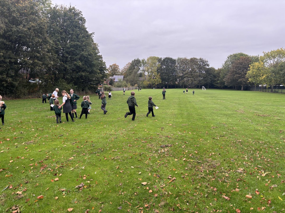 weaverhamschool's tweet image. It was lovely working with our Year 6 buddies to not only collect autumn leaves 🍁 🍂 🍃 but use these to practice our counting and comparing skills…