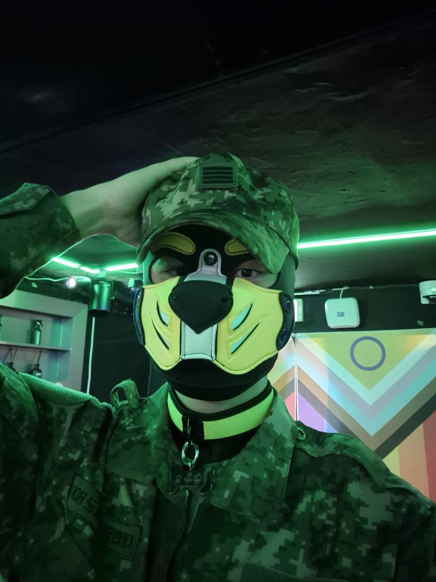 군견이 되었습니다