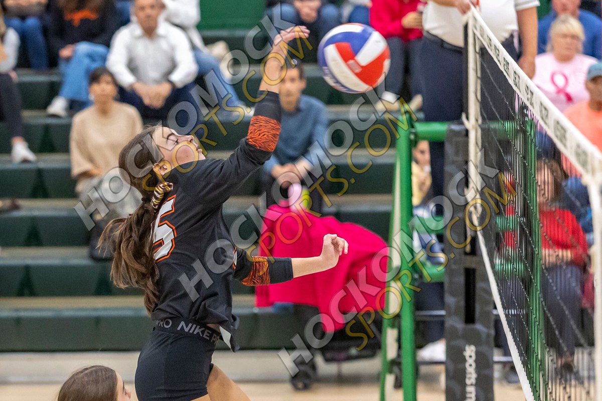 PHOTOS: Mansfield vs. Oliver Ames volleyball - buff.ly/yV7YHBG #hockomock <a href="/MHSAthletics22/">MHS_AthleticsAD</a> <a href="/OAHSTigersports/">Oliver Ames Athletics</a> <a href="/OAVolleyball/">OA Volleyball</a>