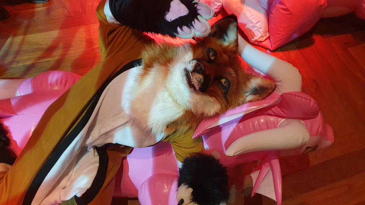 crowpudding's tweet image. Happy #FursuitFriday. Had so much fun at #Furnavia. #inflatable