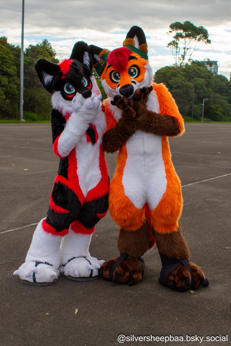 <a href="/coltofox/">Colto Fox</a> and me are giggling at you because you aren't as cute as us!

🪡: <a href="/LupeSuits/">LupeSuits</a>
📷: @/silversheepbaa.bsky.social
#FursuitFriday #fursuit