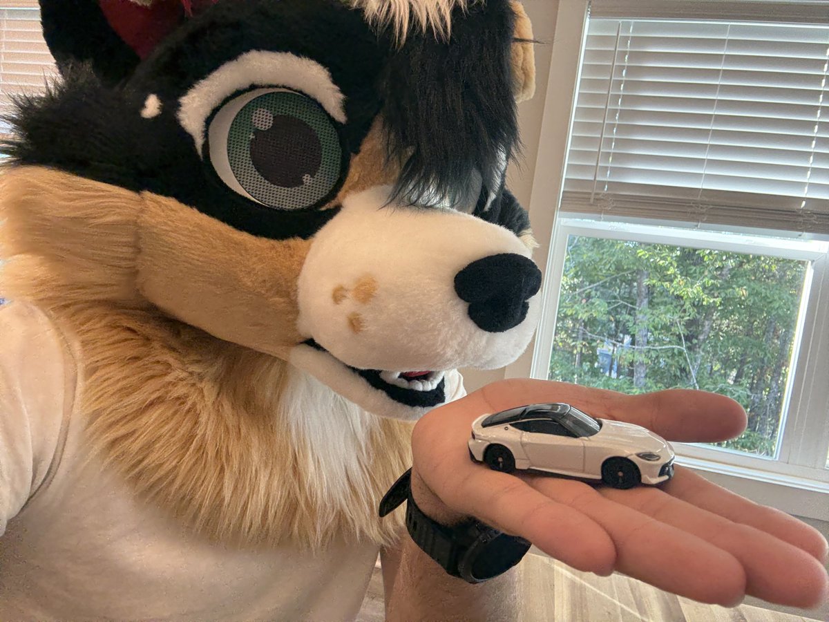 drifttheshep's tweet photo. He just keeps showing me more model cars
 #FursuitFriday https://t.co/8hFkTG4AQN