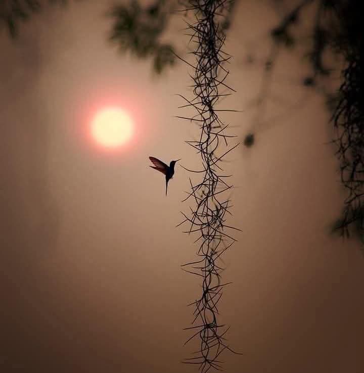 ITalhaOff's tweet image. میں انسانی خواہشات کی تہہ تک گیا۔۔ میں نے پایا کہ جو بھی جس کے پاس ہے اُسے اُس سے گِلہ ہے...

#designerthoughts