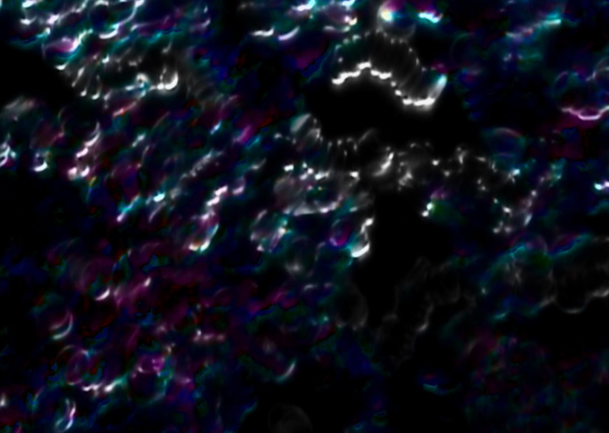 Aysun Bolten’in “Ben’in Ötesi” başlıklı ilk kişisel sergisi, Marcus Graf küratörlüğünde, 14 Ekim-14 Kasım tarihleri arasında Galeri / Miz’de sanatseverlerle buluşacak. artfulliving.com.tr/gundem/aysun-b… (<a href="/Galerimiz/">Galeri/Miz</a>)