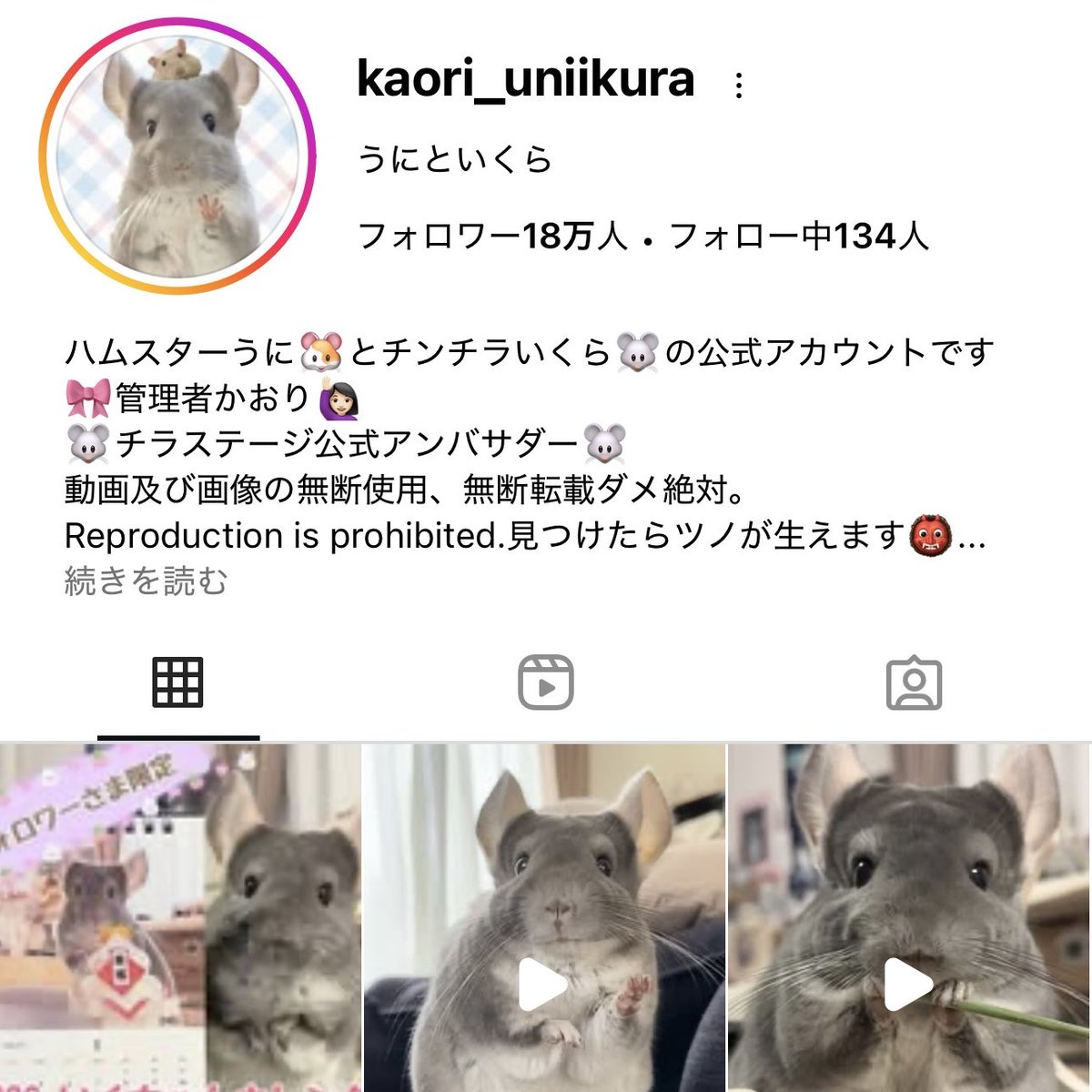 Instagramで私のなりすましアカウントが確認されています。

私がSNSで使用しているのは『うにといくら』という名前のみです。
偽アカウントからのDMや誘導には絶対に反応しないでください。

見かけた方は通報にご協力お願いします。

偽者←                                      →私本人