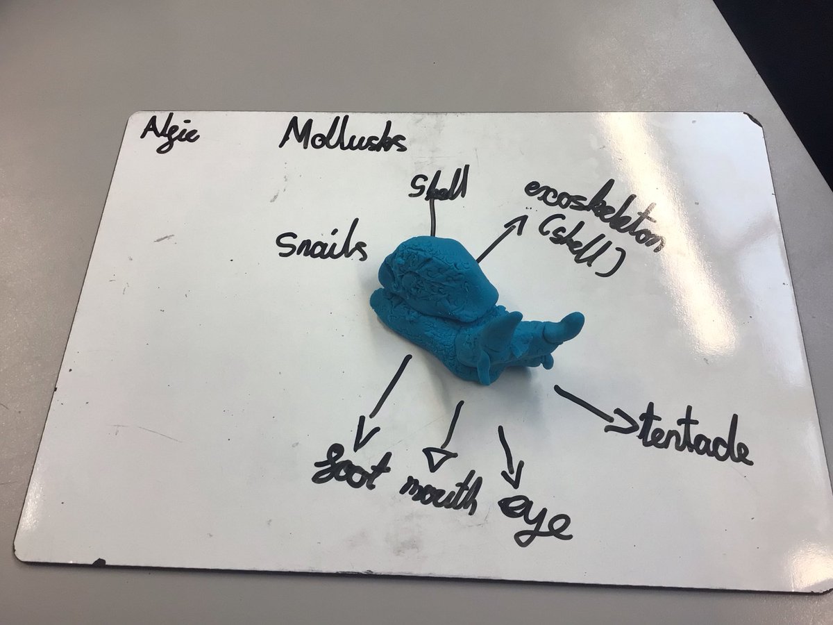 Some excellent models. 🕷️ 🐌 🦀