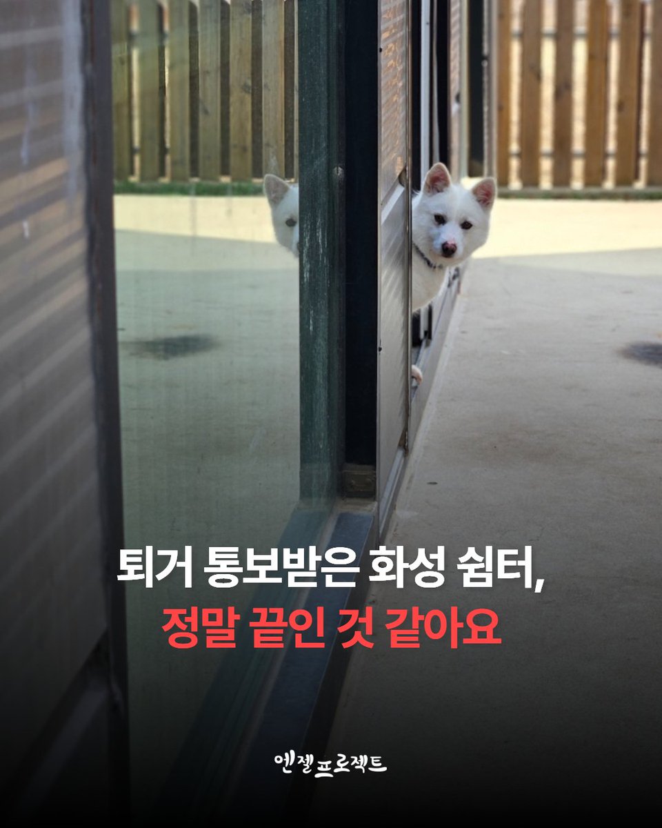 [긴급 요청] 화성 쉼터가 또다시 위기에 놓였습니다. 

아침부터 화성 쉼터 건물주에게 전화가 왔습니다. 가슴이 쿵쾅거리며 전화를 받았습니다. 건물주께서 쉼터 건물을 매매하겠다고 통보하셨습니다. 만약 건물이 매매된다면, 1년 후에는 반드시 퇴거해야 하며 이사비 보장도 받을 수 없습니다.