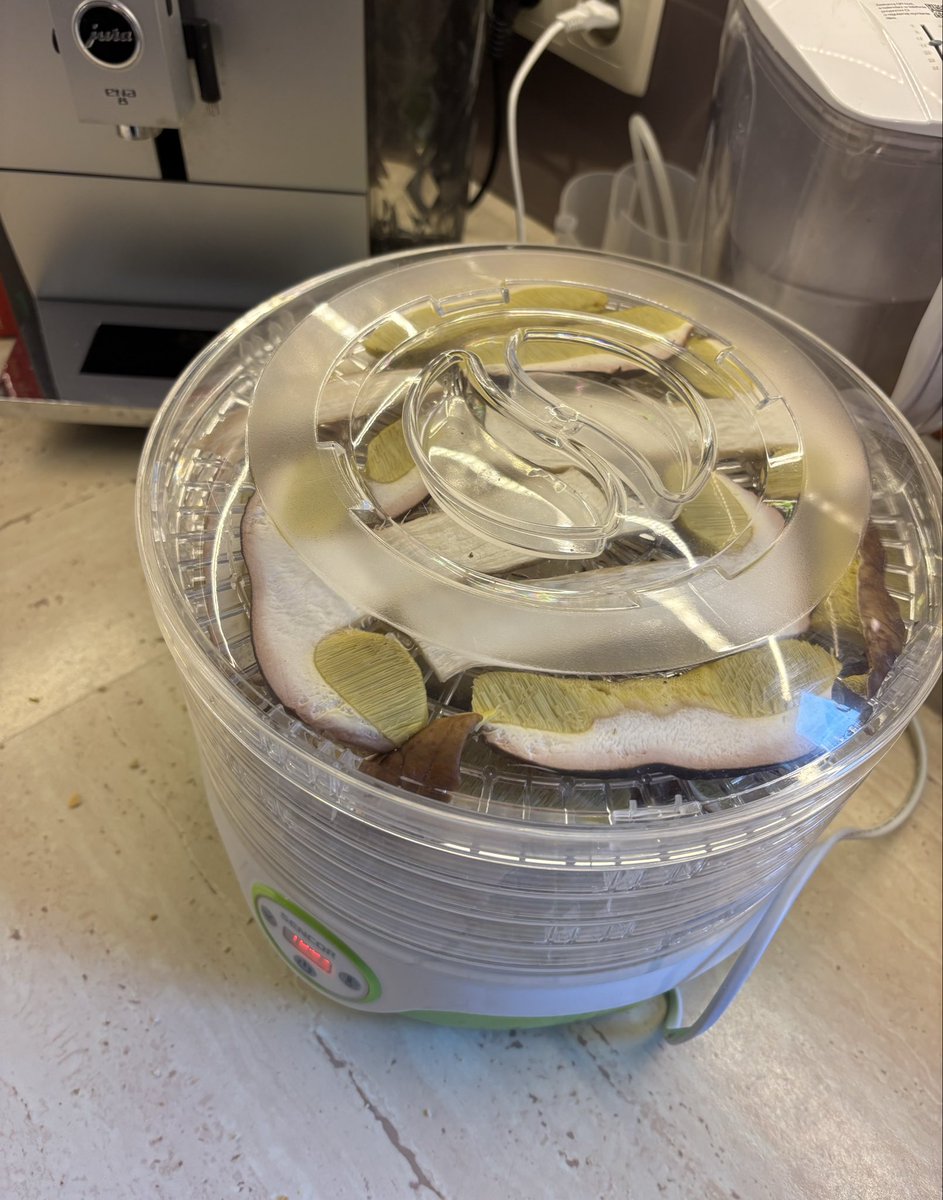 Tak jakoś wyszło, że zamiast przed komputerem spędziłam czas w lesie🤭
#piątekWeekenduPoczątek #relaks