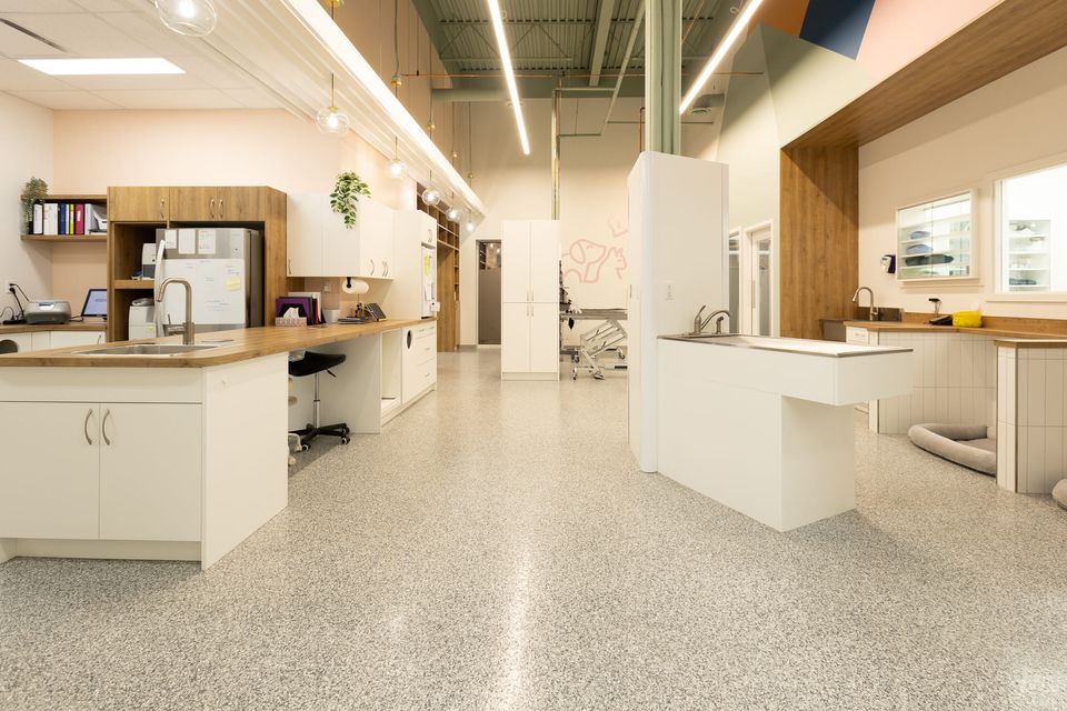 Enhance your property value with epoxy flooring Calgary! Durable, waterproof, and stylish—ideal for both homes and businesses. Choose from various colors and textures to match your style. ! - concreteinspirations.ca/residential-ep…
#IndustrialEpoxyFlooring
#PolyasaparticFloor
#EpoxyInstallers
