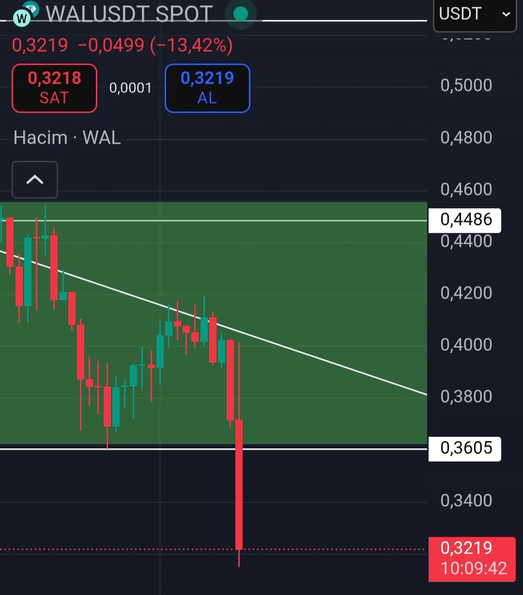 0xvec.sui 🦭/acc tweet media