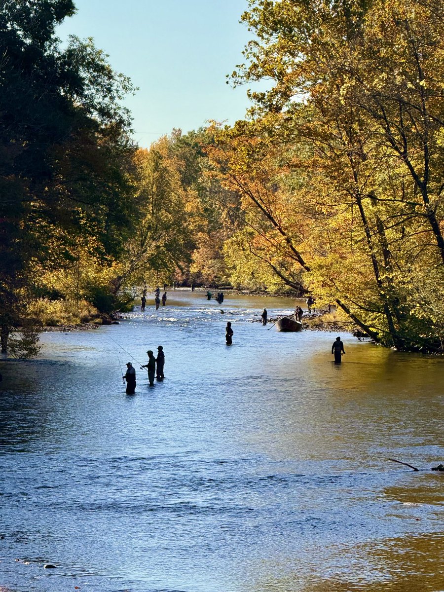 My town when the Salmon are running.

Salmon River Altmar NY.
