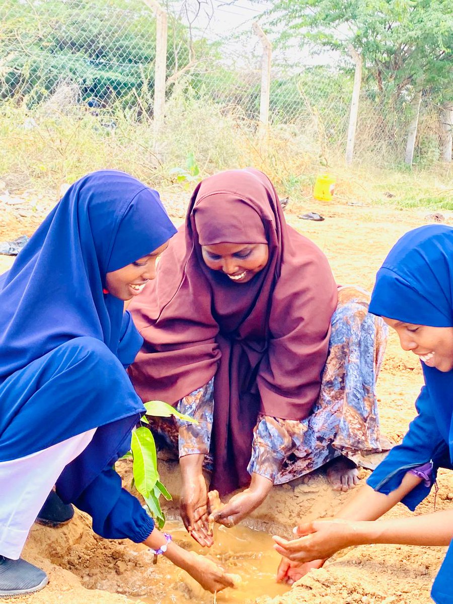 InitiativeTana's tweet photo. Every tree we plant is a gift to the next generation, let's keep protecting what protectects us.
Together we plant, together we grow!.
Happy mazingira day!. #MazingiraDay2025
#climate https://t.co/s7ManVuDHf