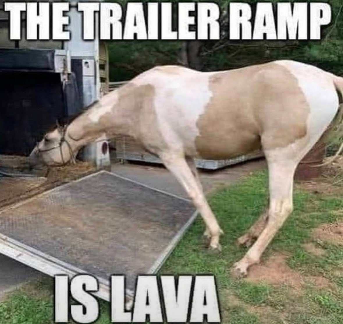 Statelinetack.com (@statelinetack) on Twitter photo 