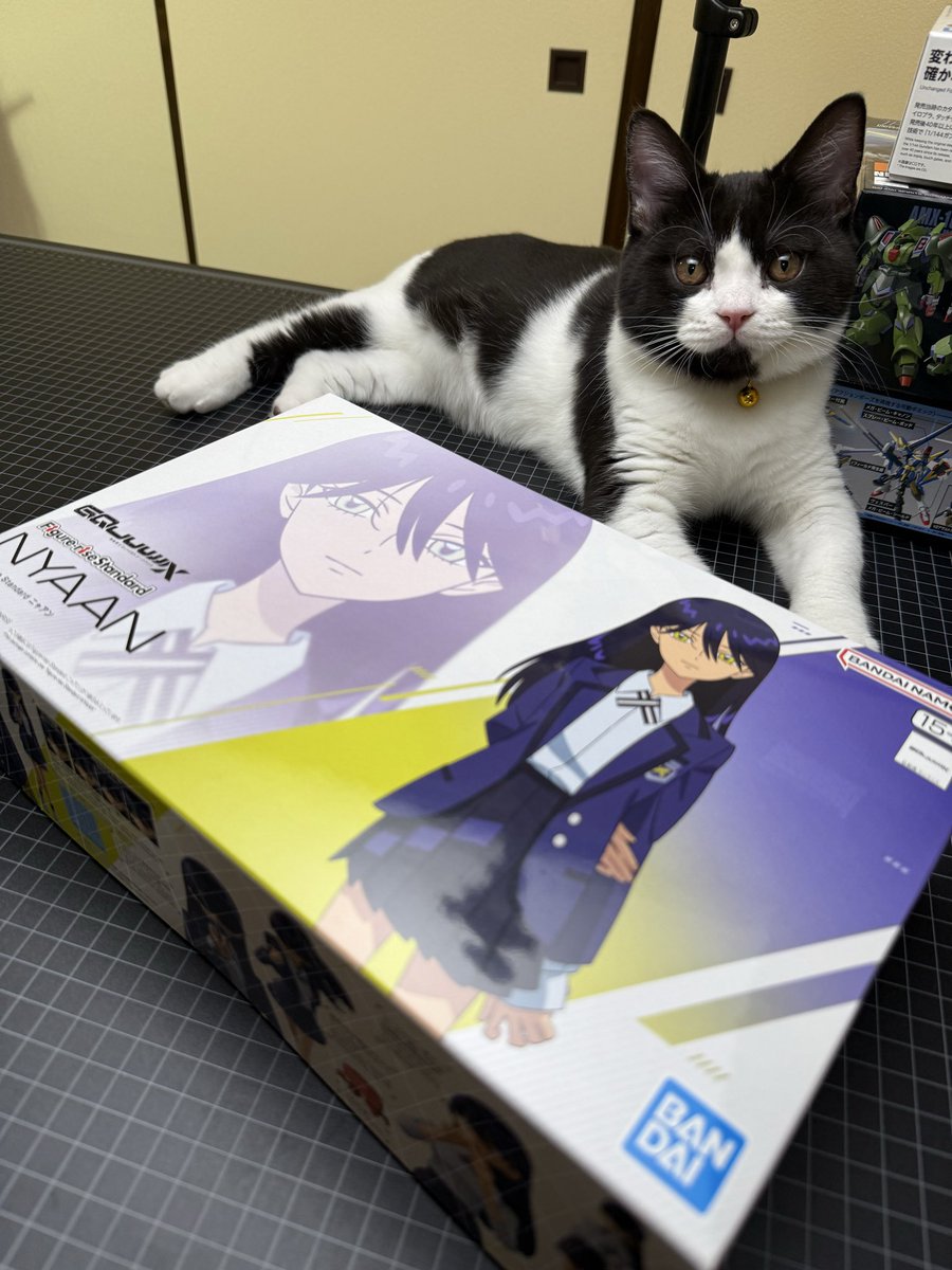 colony_mfg's tweet photo. にゃああああああああん
ゲット https://t.co/zrUuoQKdjc