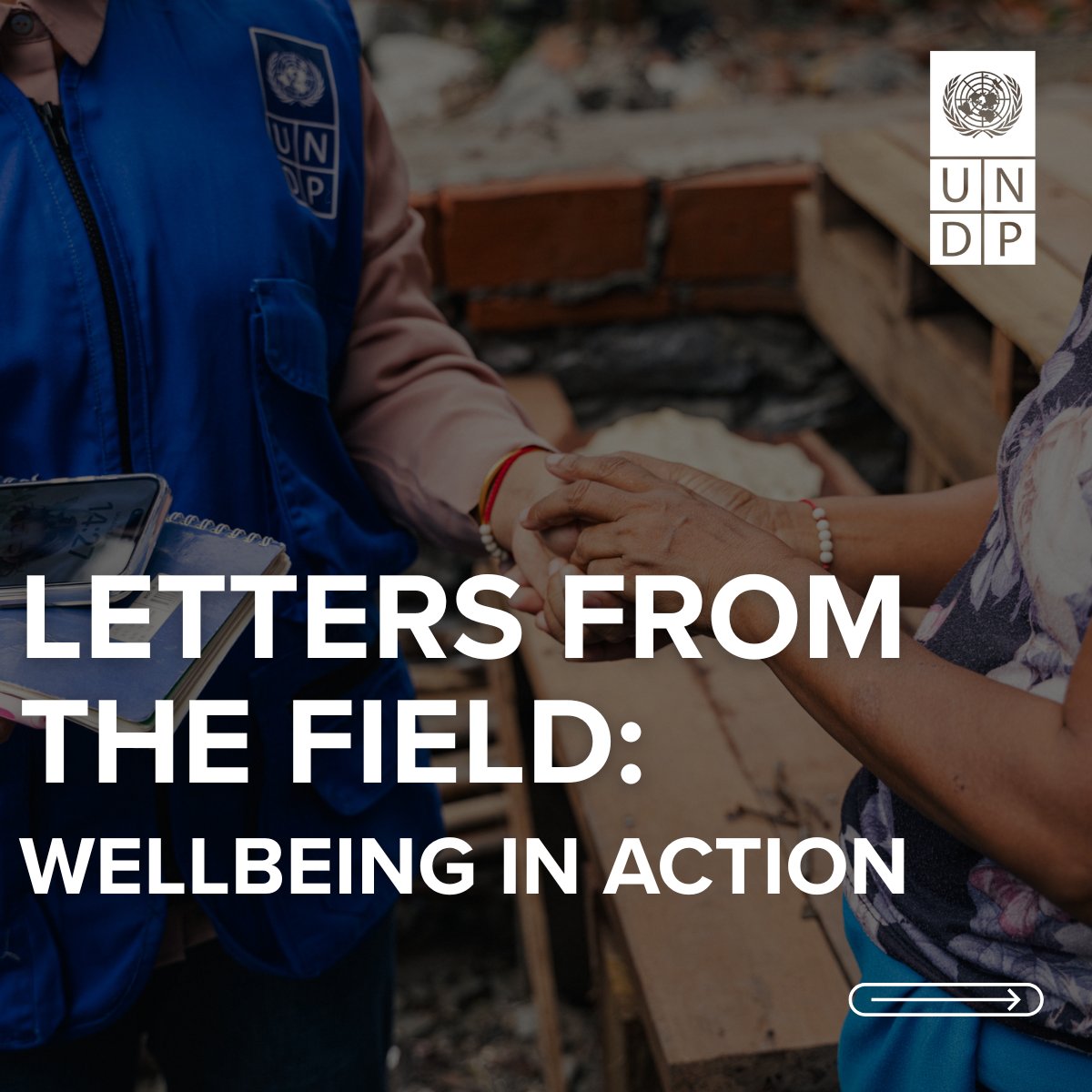 UNDP ExpRes Roster tweet media