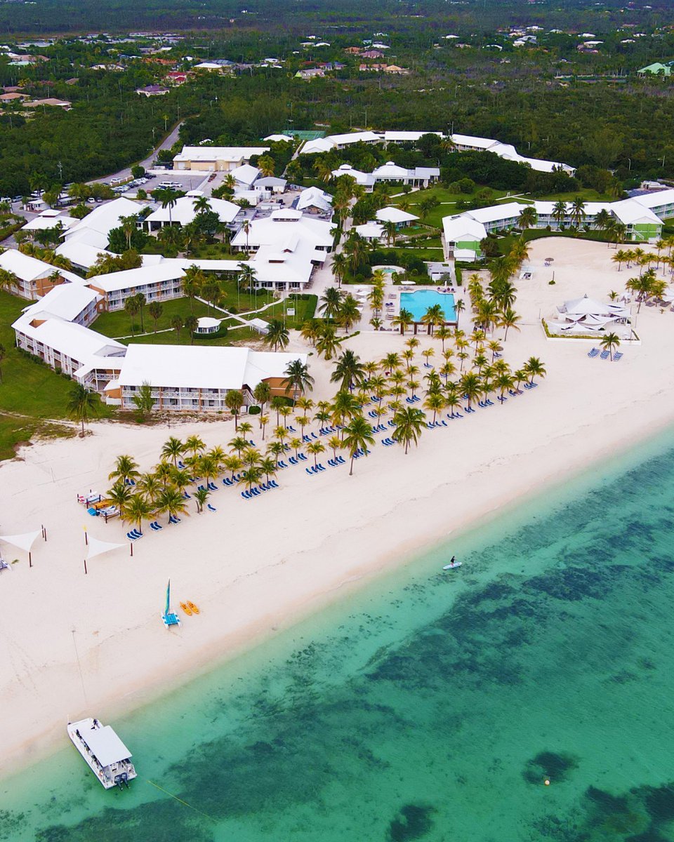 VivaResorts's tweet image. No filters needed when the beach actually looks like this! 🏖️🌊    #VivaFortunaBeach#VivaResorts

¡No se necesitan filtros cuando la playa se ve así! 🏖️🌊 #VivaFortunaBeach #VivaResorts