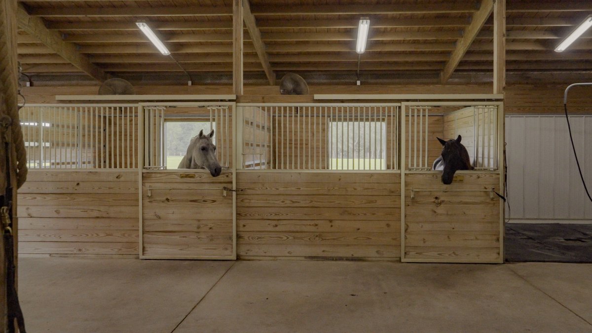 Escape to Ridgeland Ranch, a 26-acre equestrian estate where Lowcountry elegance meets world-class horse facilities. See more: bit.ly/3KBrI66

Listed by Michael Gates with Blackstream Christie's International Real Estate