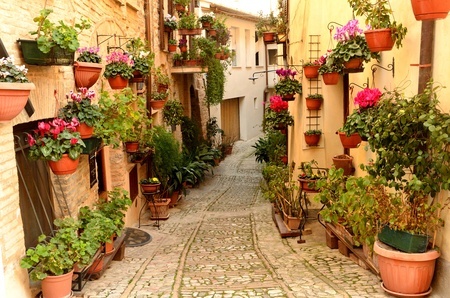 CyberItalian tweet picture