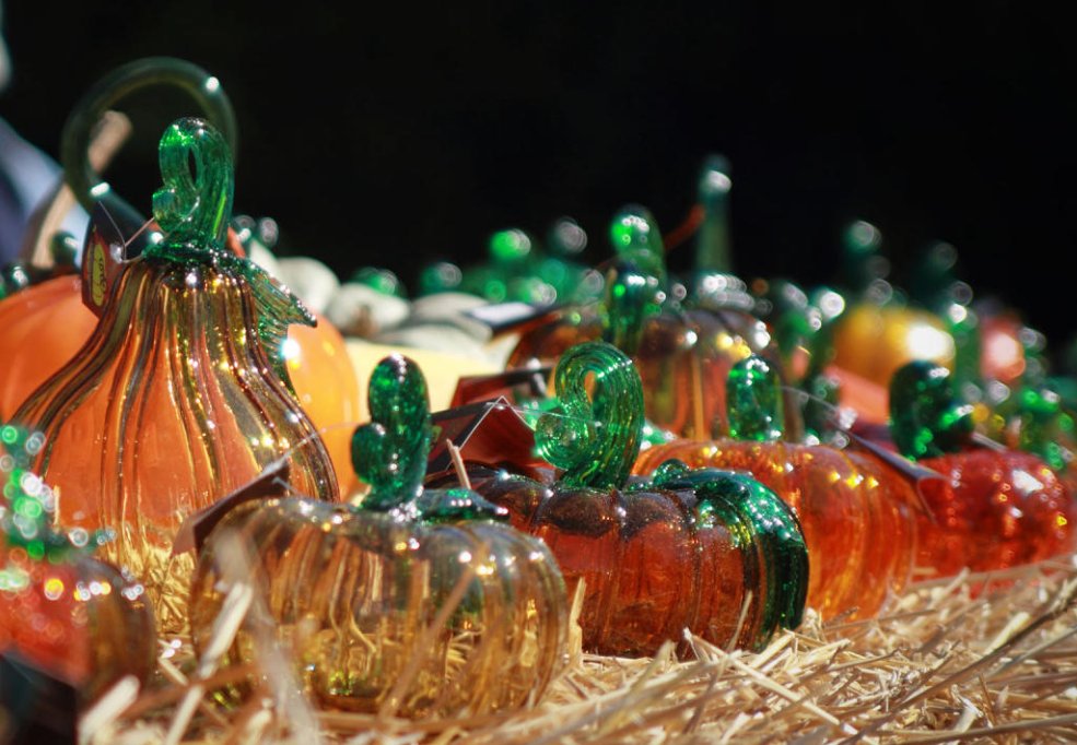 LakesideLisle's tweet image. 🎃✨ Don’t miss the Glass Pumpkin Patch this weekend at the Morton Arboretum! Enjoy a fun fall outing just minutes from Lakeside. 🍂 More info here: mortonarb.org/explore/activi… #MortonArboretum #GlassPumpkinPatch #FallFun