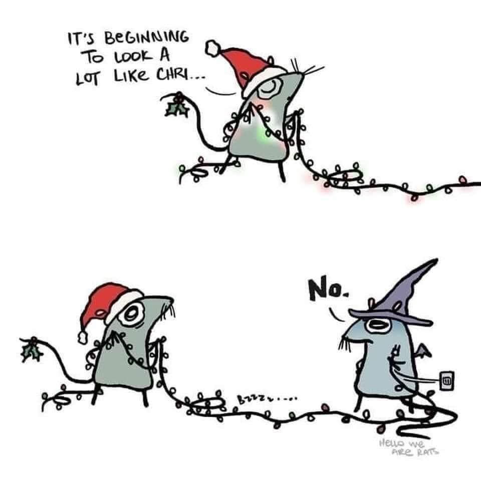 Morning folks, 
Lets get in a chat, then game, then ???, then profit!
I dunno man, it's my 15th anniversery today and both the wife and I forgot till just now.  Love that girl, 5/7 would wife again!
Live you know where.
Xmas.. stay in your lane plz.