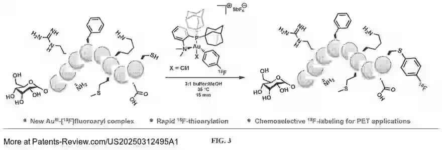 PatentPulse's tweet photo. New patent application #US20250312495A1 by #UCRegents explores #Organometallic #Gold(III) complexes for radiolabeling biomolecules in #PET molecular imaging. 
  
The method enables 18F-labeling of unprotected peptides and sugars via thioarylation using a Au(III)-[18F]fluoroaryl complex. 
  
This chemoselective process is efficient, generating 18F-labeled S-aryl bioconjugates in 15 min with high yields, and is stable in aqueous environments. 
  
Highlights the potential of designer organometallic reagents for rapid, robust radiolabeling. 
  
#Healthcare #PatentApplication
