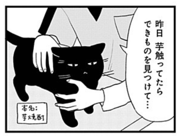 カワイイだけでは飼えません 31話
猫ちゃんのできもののお話です🐈
https://t.co/t0jnu1sSgs 