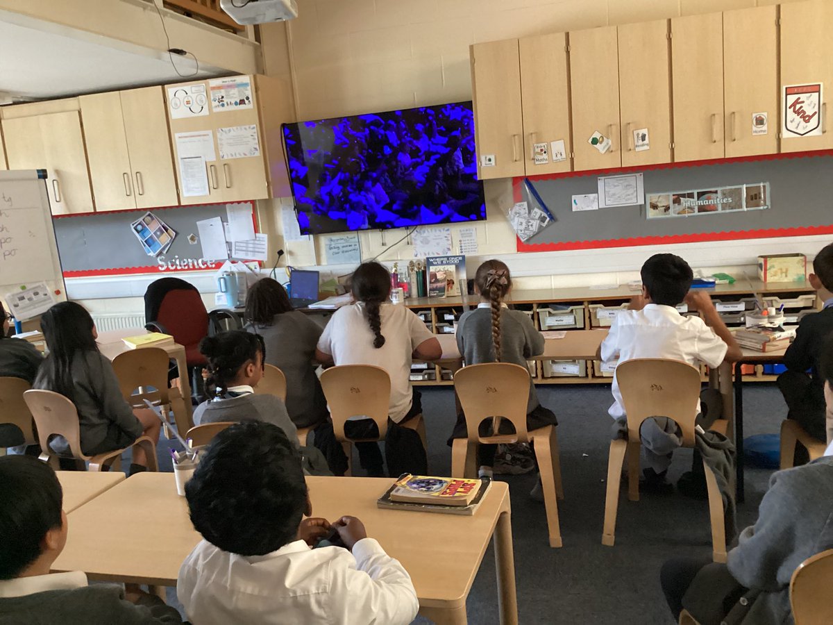 Kensington Community Primary School tweet media