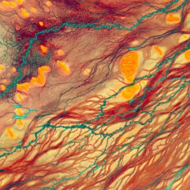 SoarAtlas's tweet image. Here's a question, what features would you like to see from Soar as both map viewers and map makers?

We truly take your feedback into consideration so please, let us know. Do you have a dream functionality? 🤔 
#Cartography #MapMaking #MapDesign #MapArt #Maps #GIS #Geospatial