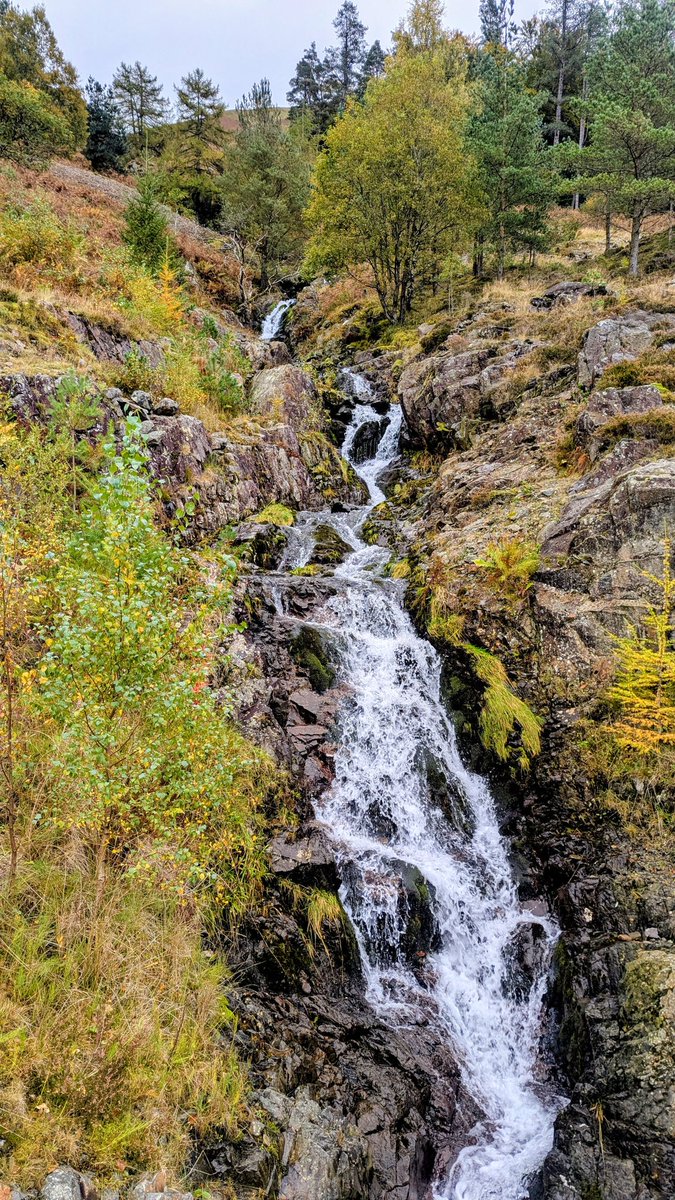 NotBadForHerAge's tweet photo. Decided to go for an impromptu #trailrun with #Fred this afternoon. #Helvellyn one side and #Thirlmere the other. 😊🐾 #cumbria #lakedistrict #runningwithdogs https://t.co/KtCcimyhbw