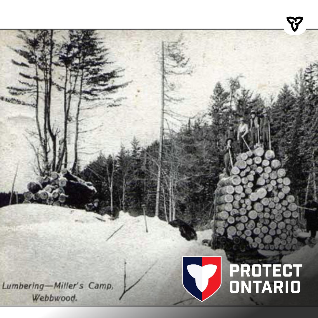 We’re excited to welcome Forest History Ontario as our newest #OntarioWood partner! Their mission? Preserving the stories, voices and the legacy of Ontario’s forests – reminding us that trees are part of our identity. Discover more at fhso.ca #ForestHistoryOntario