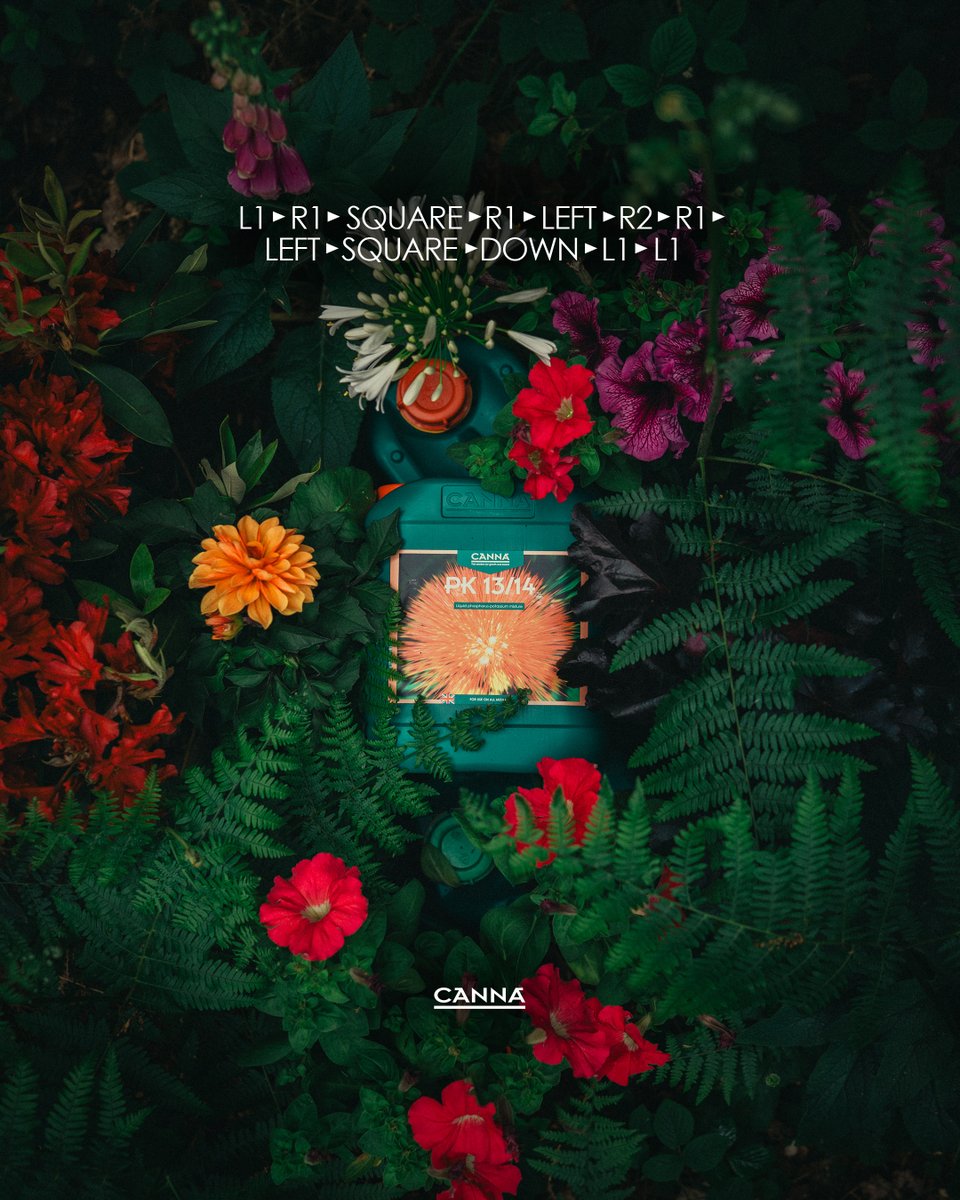 Your plants just found the cheat code. 👀

CANNA PK13/14 – the secret code for bigger, bolder blooms. 

Find out more here: canna-uk.com/canna-pk-1314