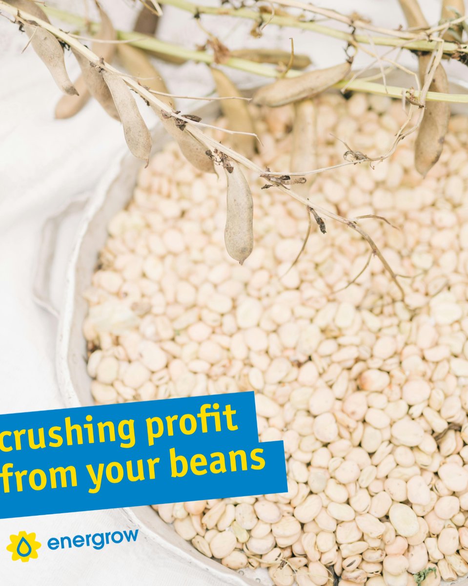 From bean to profit in 3 simple steps:
1) Grow or buy your beans 
2) Plug in and crush with Energrow
3) Replace 70%+ of your feed costs and get paid for your oil

Crushing success has never been this simple!
#Energrow #FarmProfit #SustainableFarming