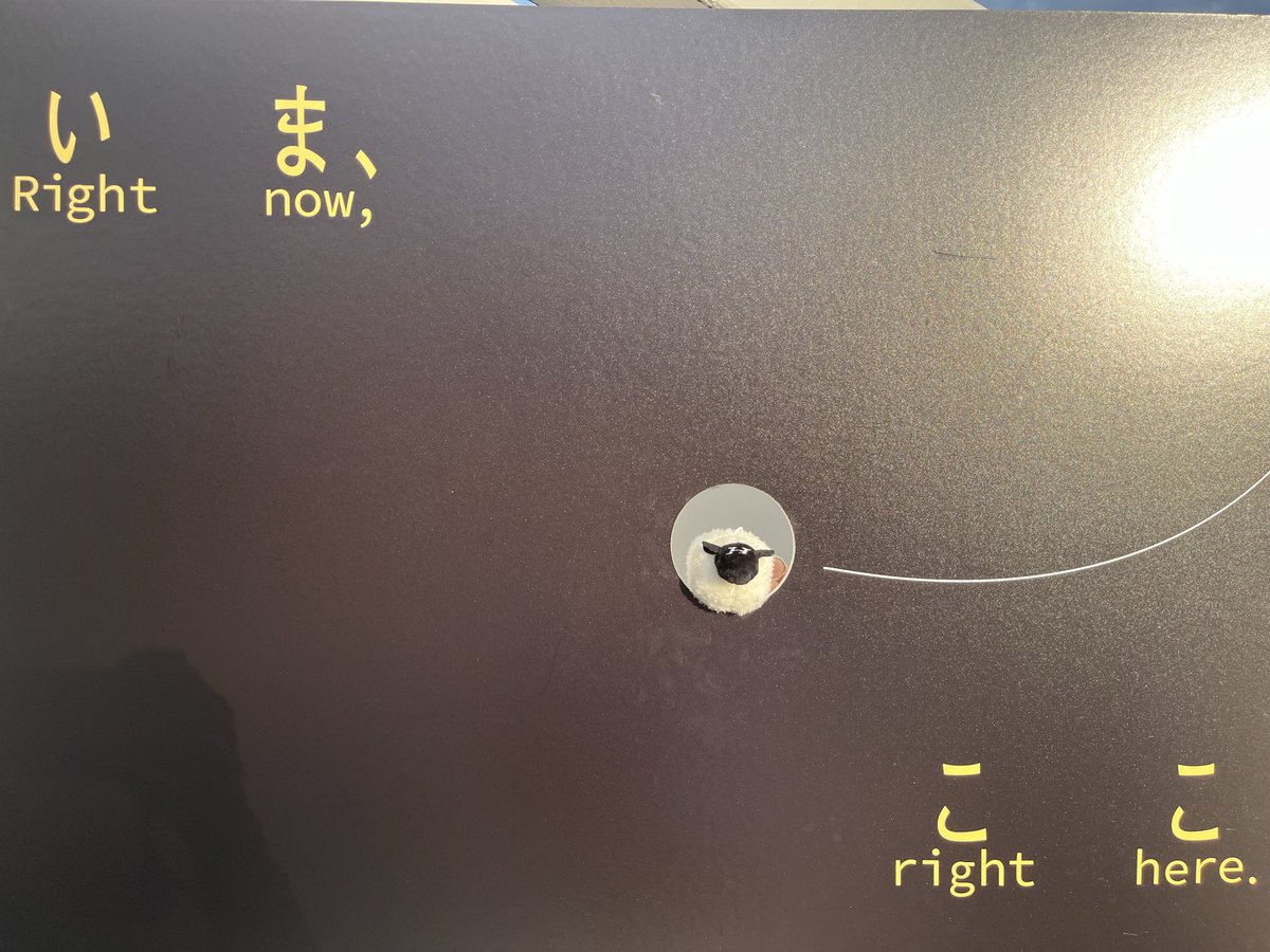 XjVAzjTVbh10019's tweet image. 初羊文学、初1人参戦だったけどほんとに最高だった。生きるエネルギーもらったし、なんというか感無量で、スクリーンにうつった2人を見たら涙止まんなかった。
羊文学ありがとう！！🐏❤︎
@hitsujibungaku 
@124Hitsujichan 
#羊文学 #羊文学_いまここ