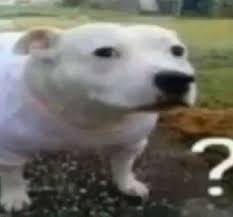 Me desperté y mi novio estaba tomando mate en la cocina mientras bailaba villancicos indios