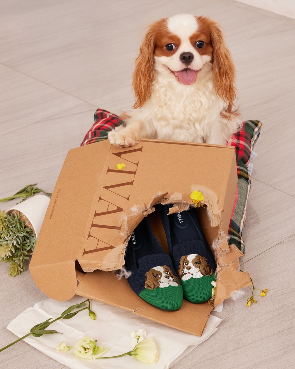 vivaia_official's tweet image. Adorable little troublemaker! But smart too,  leaving my favorite shoes unscathed like that, so treats for you. 

reurl.cc/pYGoRb

#VIVAIA #VIVAIAAudrey #Pawrent #Troublemaker