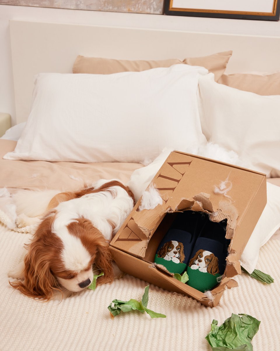 vivaia_official's tweet image. Adorable little troublemaker! But smart too,  leaving my favorite shoes unscathed like that, so treats for you. 

reurl.cc/pYGoRb

#VIVAIA #VIVAIAAudrey #Pawrent #Troublemaker